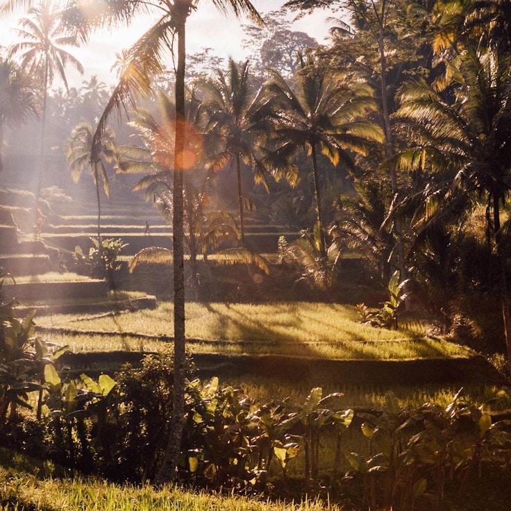 Outdoor terrace seating suitable for families in Springfield